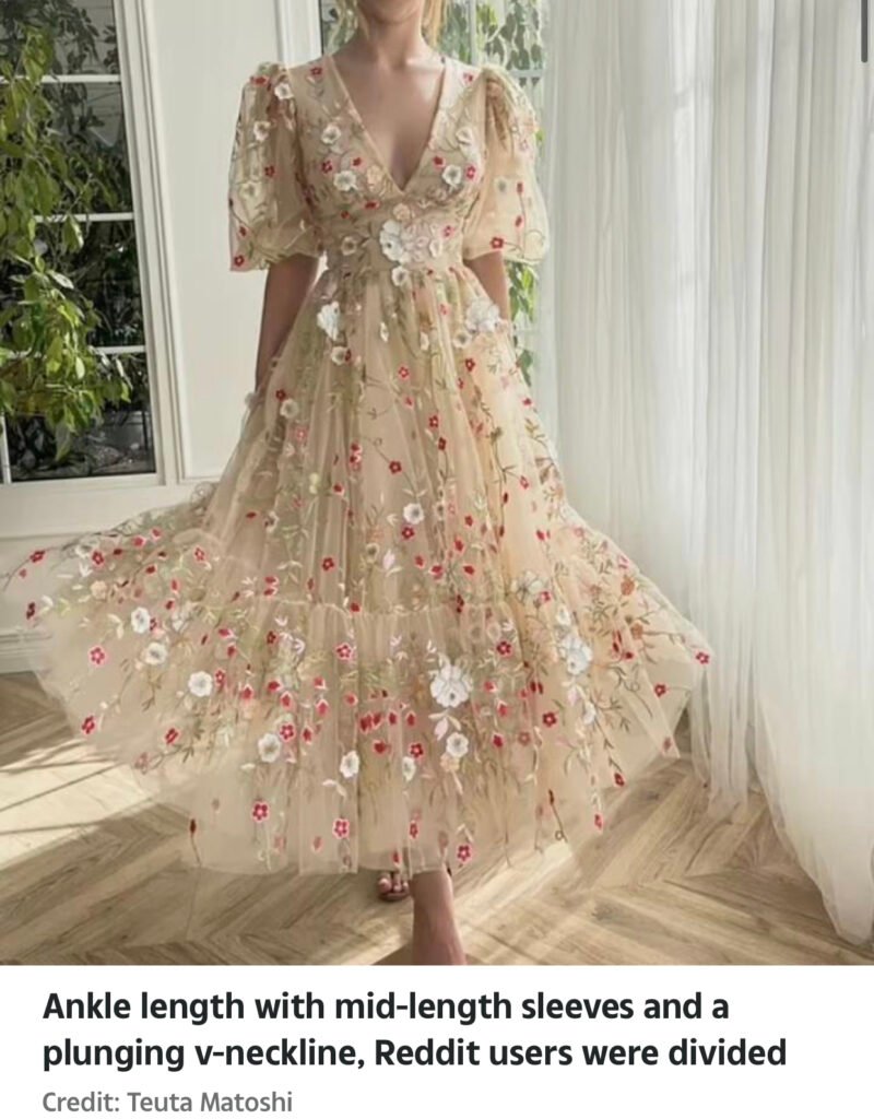 A Better Title In English Could Be My Dream Wedding Guest Dress Got