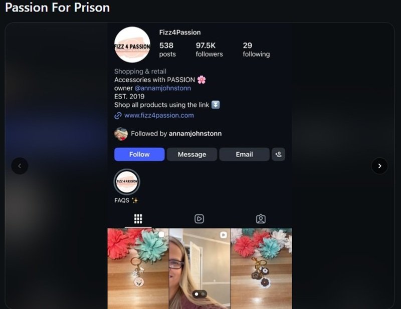Fizz4Passion Instagram profile screenshot with fan-edited title